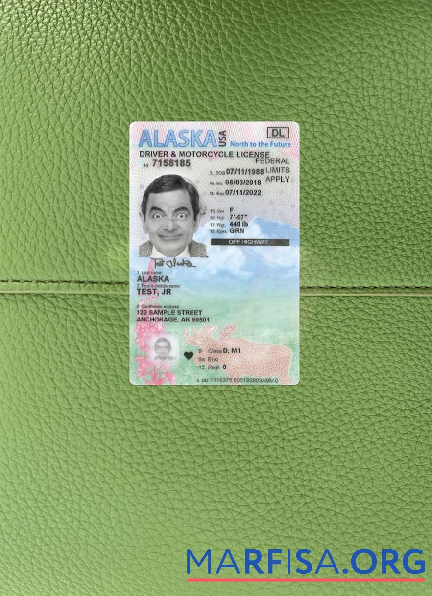 Downloadable USA Alaska under 21 driving license photolook example